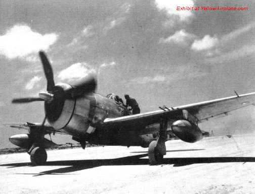 P47 Thunderbolt from the 318th Fighter Group on Ie Shima.