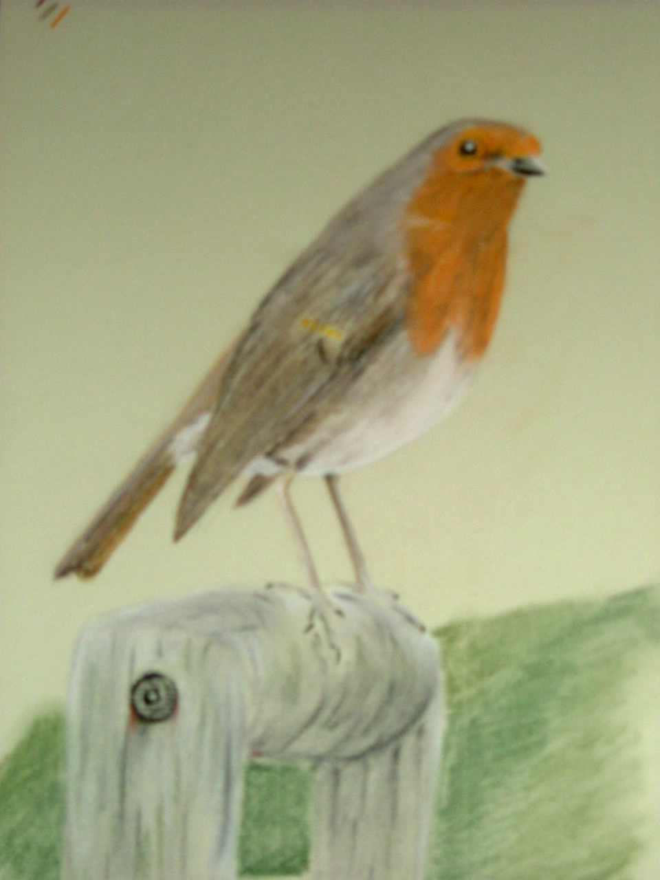 A new Bird Painting by Neil Wilkinson