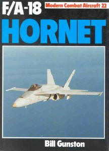 F-18 Hornet (Modern combat aircraft)