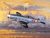 Macchi C 205 Veltro Italian Aircraft WW2.