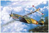 P-40 Warhowk Airplane Models
