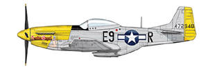 P-51 Mustang Lt.H. Chapman 376 Fighter Squadron, 361st Fighter Group