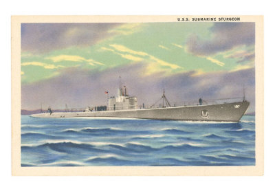 USS Sturgeon Submarine