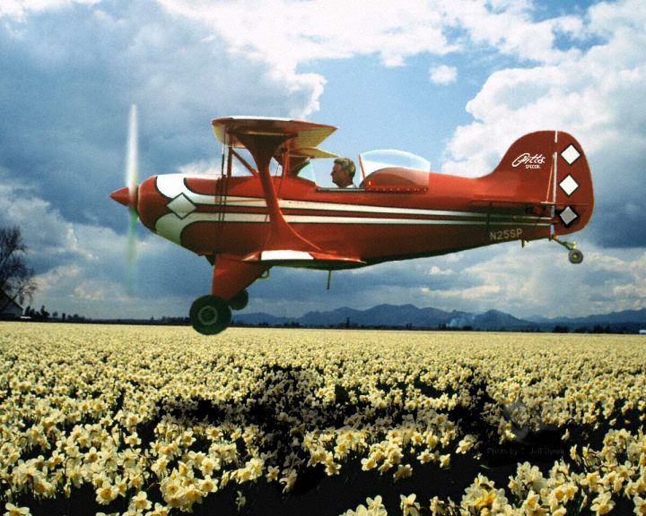 Roger dusting the daisy field with his pitts aerobatic airplane
