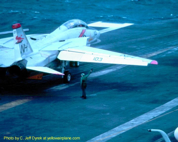 Photo of an F-14 Tomcat from VF-114 Ardvarka with an Aardvark painting on the tail