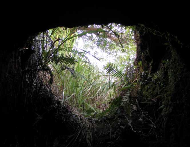 A Heart Shaped Cave Entrance on Guam